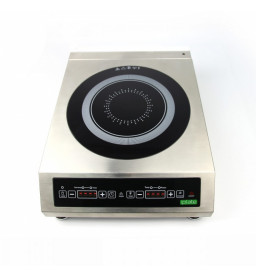 Индукционная плита IPLATE ALISA 3500 без импульса